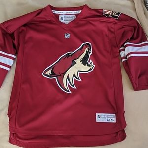 Youth Phoenix Coyotes NHL jersey